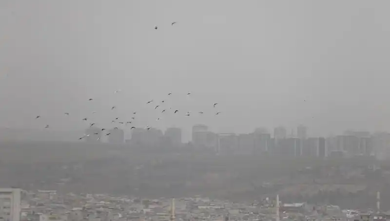 Şanlıurfa’da Görüş Mesafesi Sıfıra İndi: Toz Fırtınası Kentte Hayatı Olumsuz Etkiledi