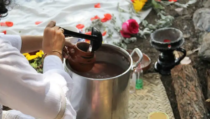 Ayahuasca: Gizemli Şifa Bitkisi ve Hukuki Durumu Hakkında Bilmeniz Gerekenler
