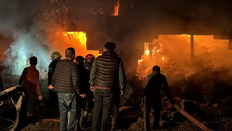 Bolu'da Korkutan Ahır Yangını: Hayvanlar Zarar Gördü