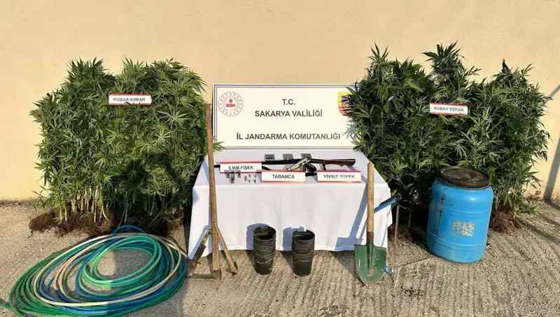 Sakarya'da Uyuşturucu Operasyonu: Güvenlik Güçleri Bir Şahısı Tutukladı!