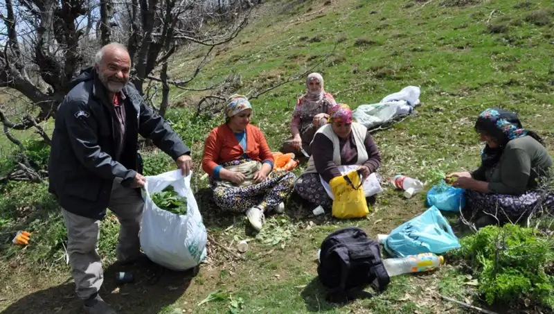 Yüzlerce Ailenin Geçim Kapısı: 5 Saat Yürüyüp Topladıkları 250 Lira Değerindeki Ürün